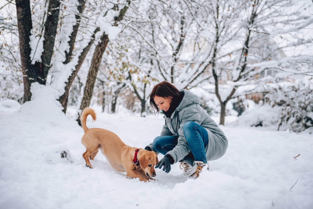 microneedling Dr. Irwin answers on SkinTour